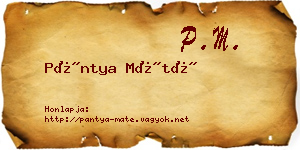 Pántya Máté névjegykártya
