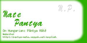 mate pantya business card